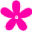 adultsdirectory.info