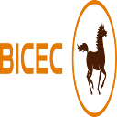 bicec.com