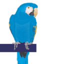 blueparrott.ca