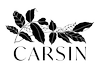 carsin.com