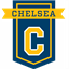 chelsea.k12.mi.us