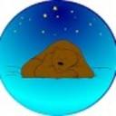 dreamingandsleeping.com