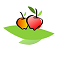 healtholino.com