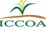 iccoa.org