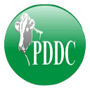 pddc.com.pk