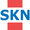 skn.ru