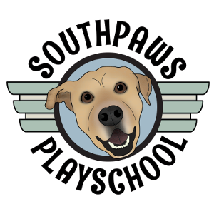 southpawsplayschool.com