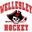 wellesleyyouthhockey.org