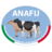 www.anafi.it