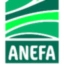 www.anefa.org