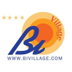 www.bivillage.com