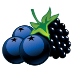 www.blueberries.com