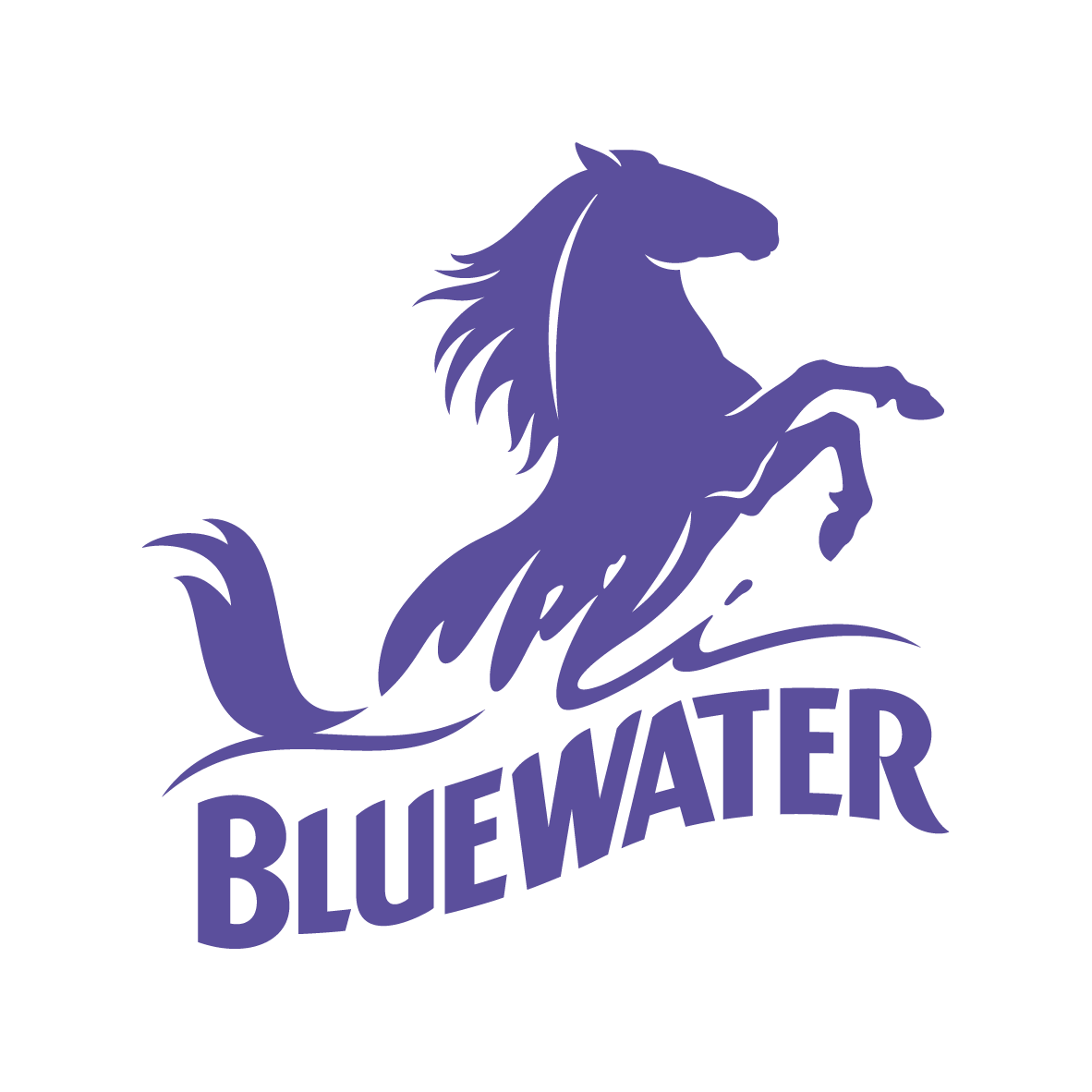 www.bluewater.co.uk