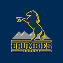 www.brumbies.com.au