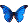 www.butterfly-gifts.com