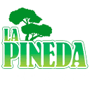 www.campinglapineda.com