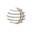 www.capitaleng.ca