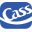 www.cassinfo.com