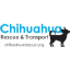 www.chihuahua-rescue.com