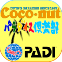 www.coconut.co.jp