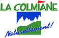 www.colmiane.com