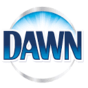 www.dawn-dish.com