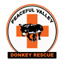 www.donkeyrescue.org