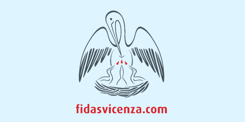 www.fidasvicenza.com