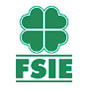 www.fsie.es