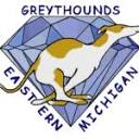 www.gemgreyhounds.org