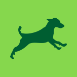 www.green-dog.com