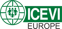 www.icevi-europe.org
