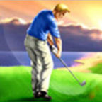 www.instantgolflesson.com