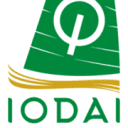 www.iodai.com