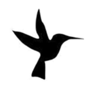 www.kvnf.org