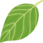 www.leafninja.com