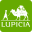 www.lupicia.com