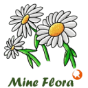 www.mineflora.com