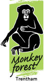 www.monkey-forest.com