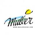 www.mullerseeds.com