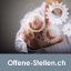 www.offene-stellen.ch