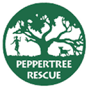 www.peppertree.org