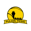 www.puijonpesis.fi