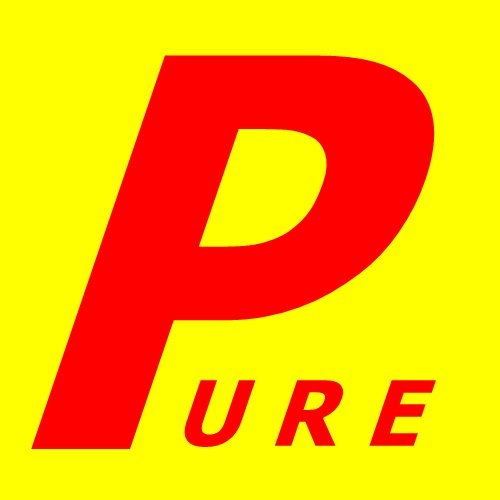 www.purecarrent.com