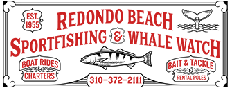 www.redondosportfishing.com