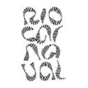 www.riocarnaval.com.br