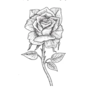 www.roses.co.uk