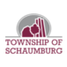 www.schaumburgtownship.org