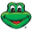 www.senorfrogs.com