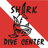 www.sharkdive.com.pl